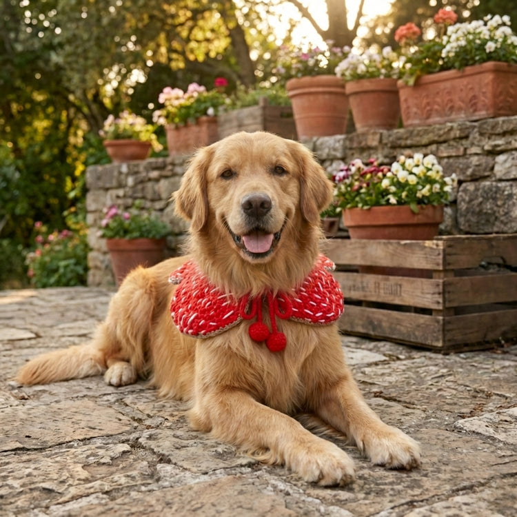 Dark Bloom Pet Knitted Neck Collar close-up detail shot – Lizzie & Friends