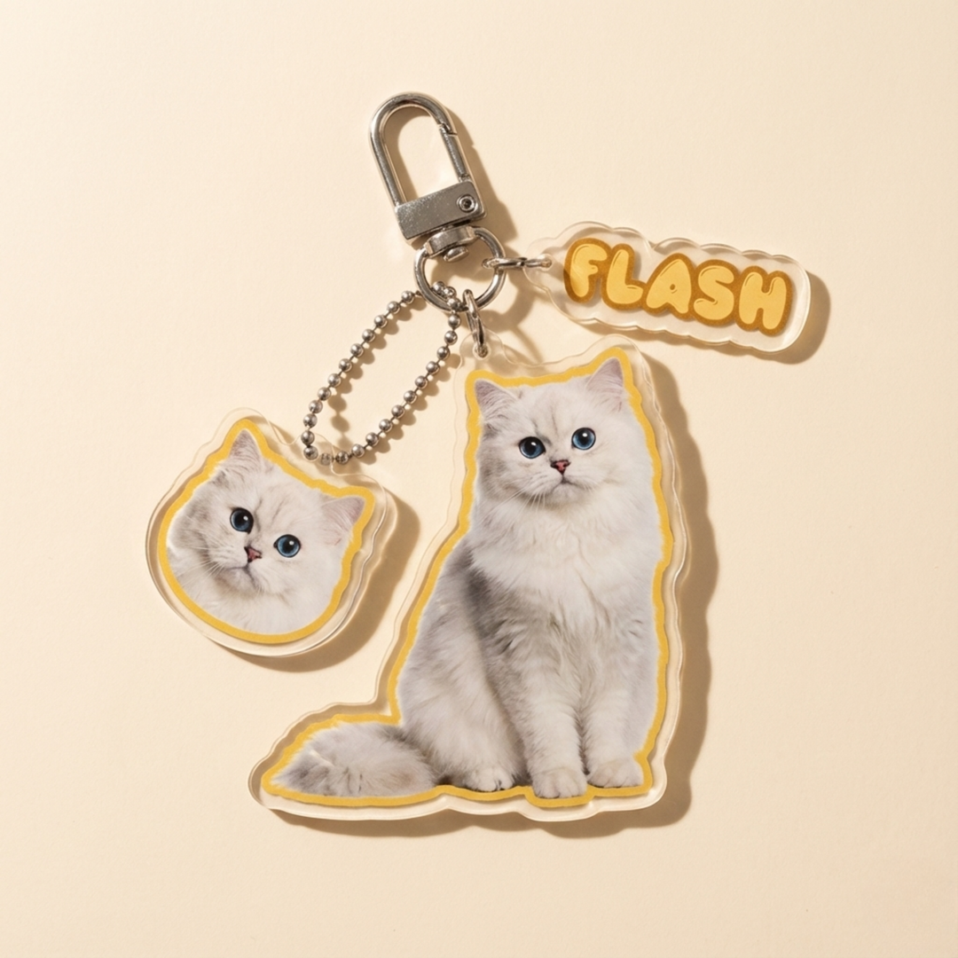 Custom Pet Portrait Acrylic Keychain – blind box keychain kawaii collectible mystery bag charm