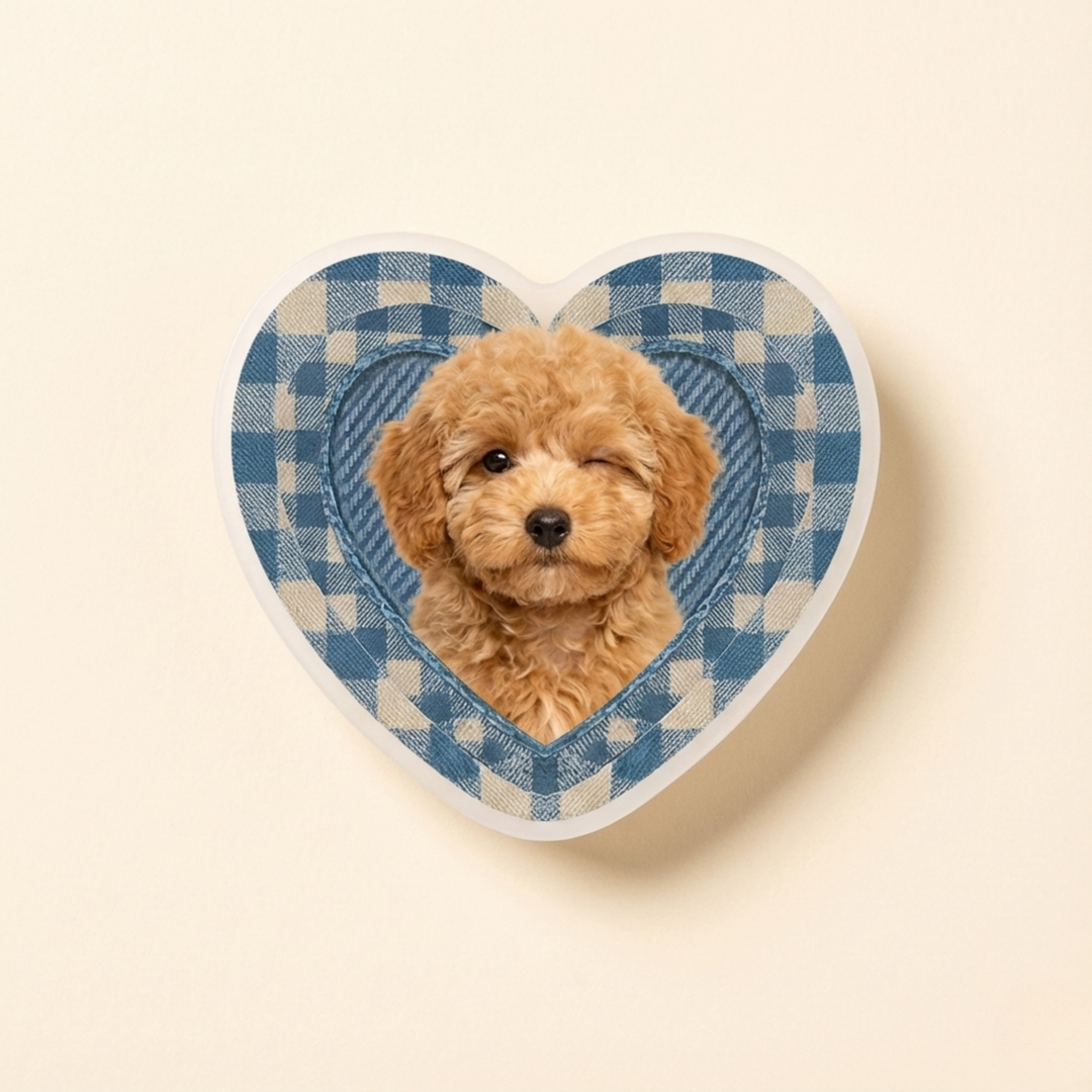 Custom Pet Photo Acrylic Magnetic Phone Grip packaging included – Lizzie & Friends