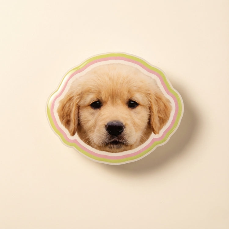 Custom Pet Photo Acrylic Magnetic Phone Grip alternate view 9 – Lizzie & Friends