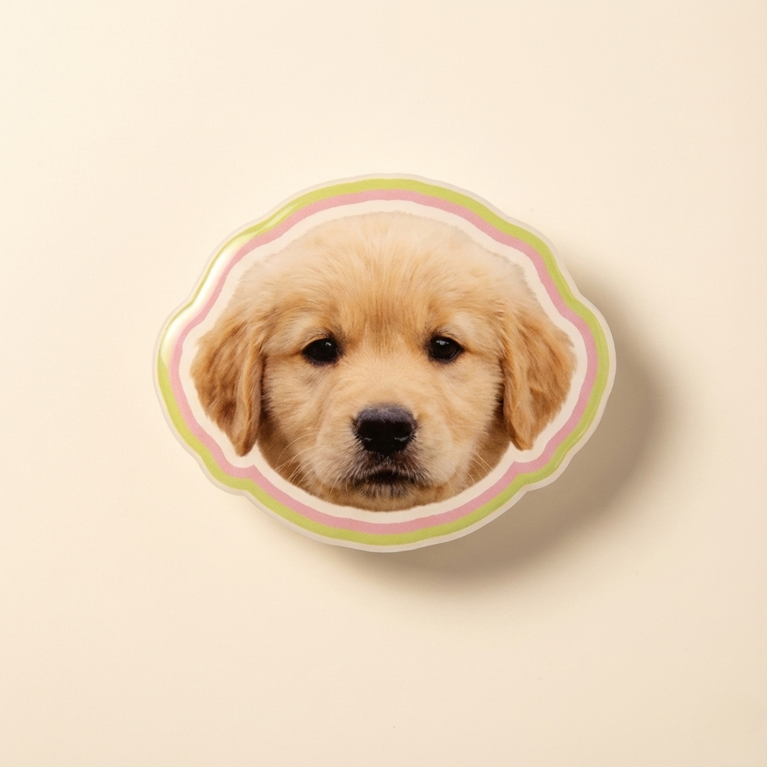 Custom Pet Photo Acrylic Magnetic Phone Grip alternate view 9 – Lizzie & Friends