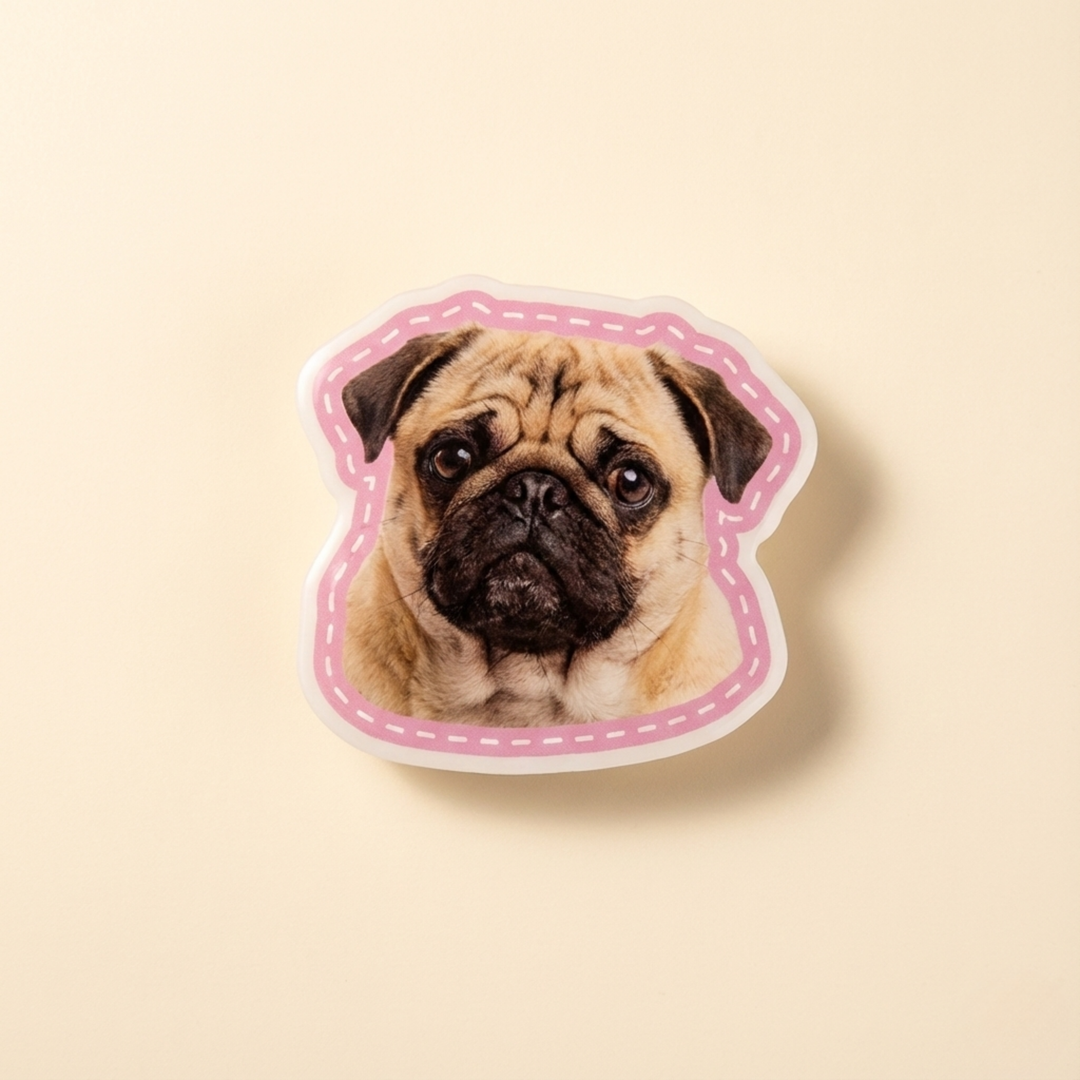 Custom Pet Photo Acrylic Magnetic Phone Grip alternate view 10 – Lizzie & Friends