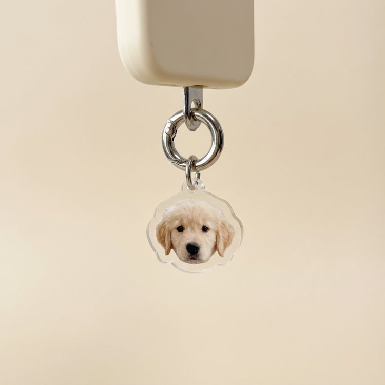 Custom Acrylic Pet Photo Keychain / Cartoon Animal Phone Charm – blind box keychain kawaii collectible mystery bag charm