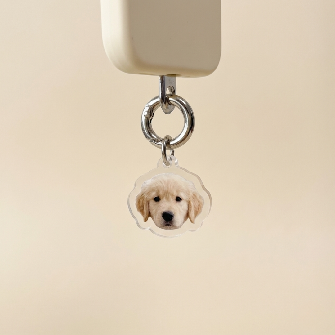 Custom Acrylic Pet Photo Keychain / Cartoon Animal Phone Charm – blind box keychain kawaii collectible mystery bag charm