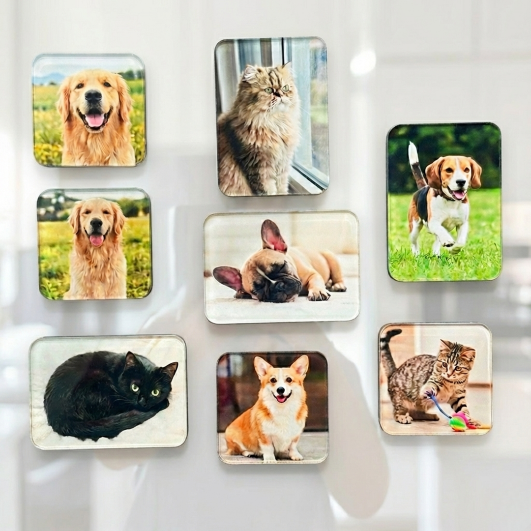 Custom Acrylic Pet Photo Refrigerator Magnets – art magnet collectible fan merch home decor