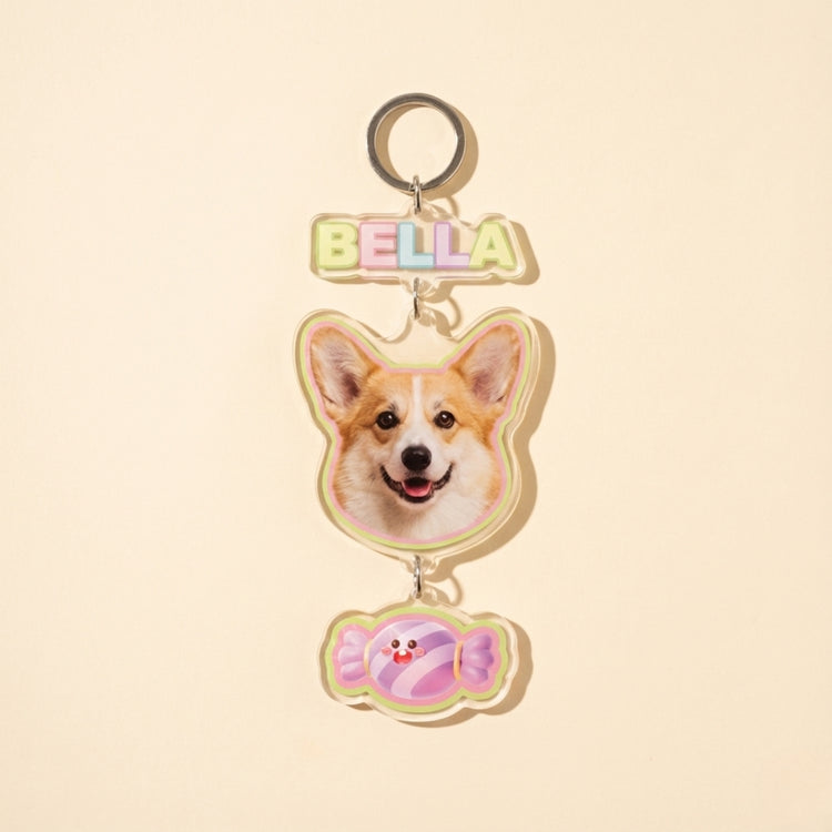 Personalized Acrylic Pet Keychain Charm packaging included – Lizzie & Friends
