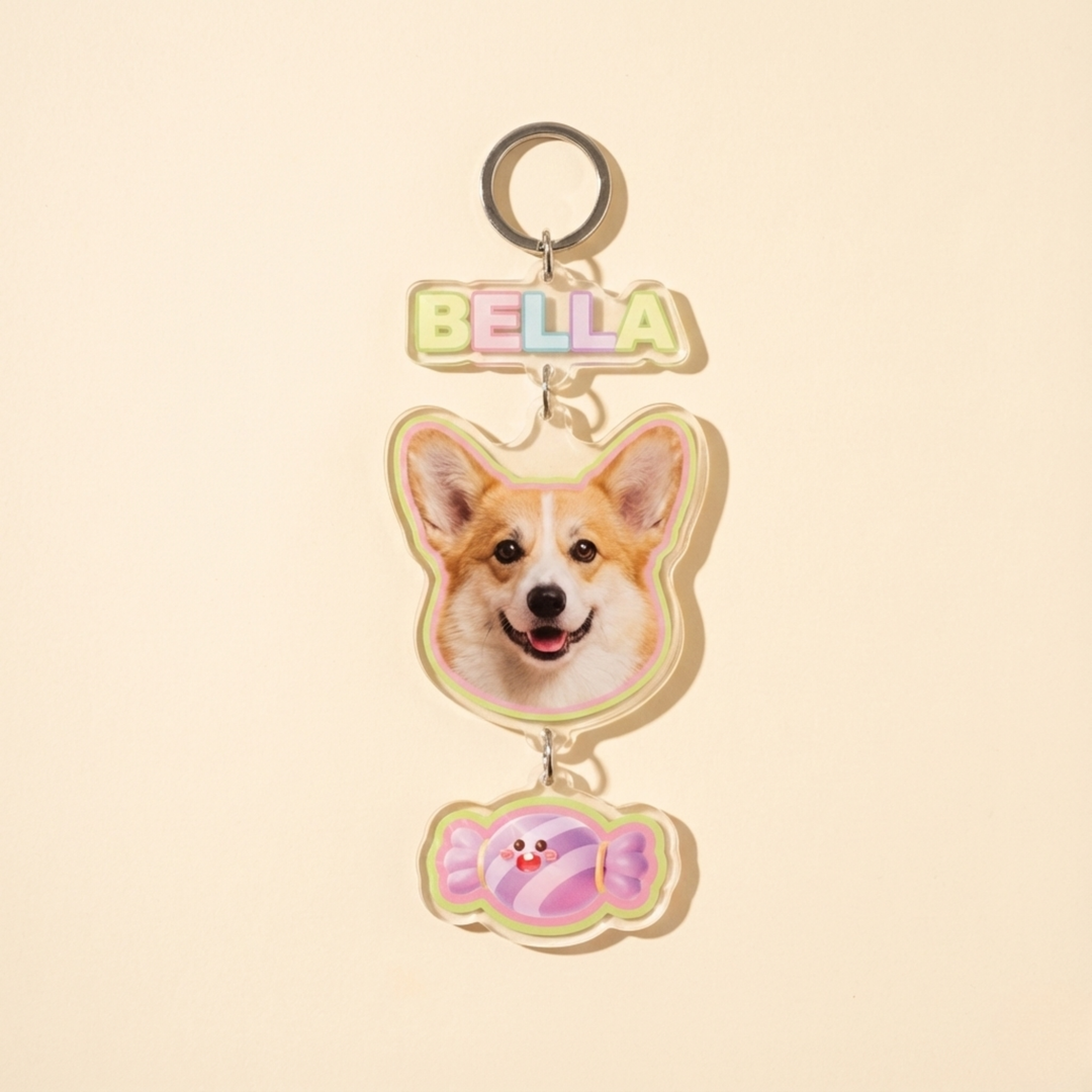 Personalized Acrylic Pet Keychain Charm packaging included – Lizzie & Friends