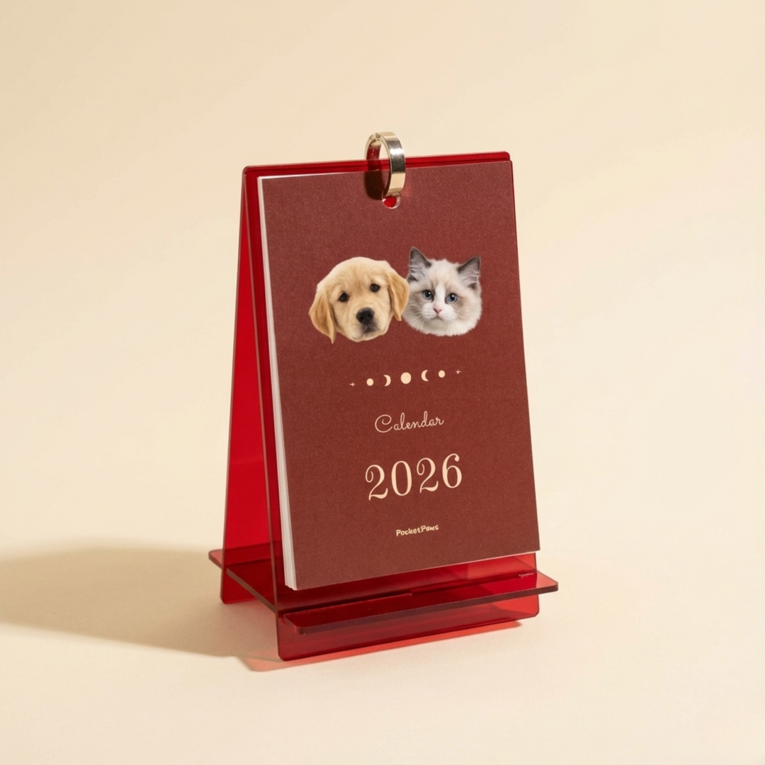 Personalized 2026 Desk Calendar — Custom Pet Photo Edition flat lay product shot – Lizzie & Friends