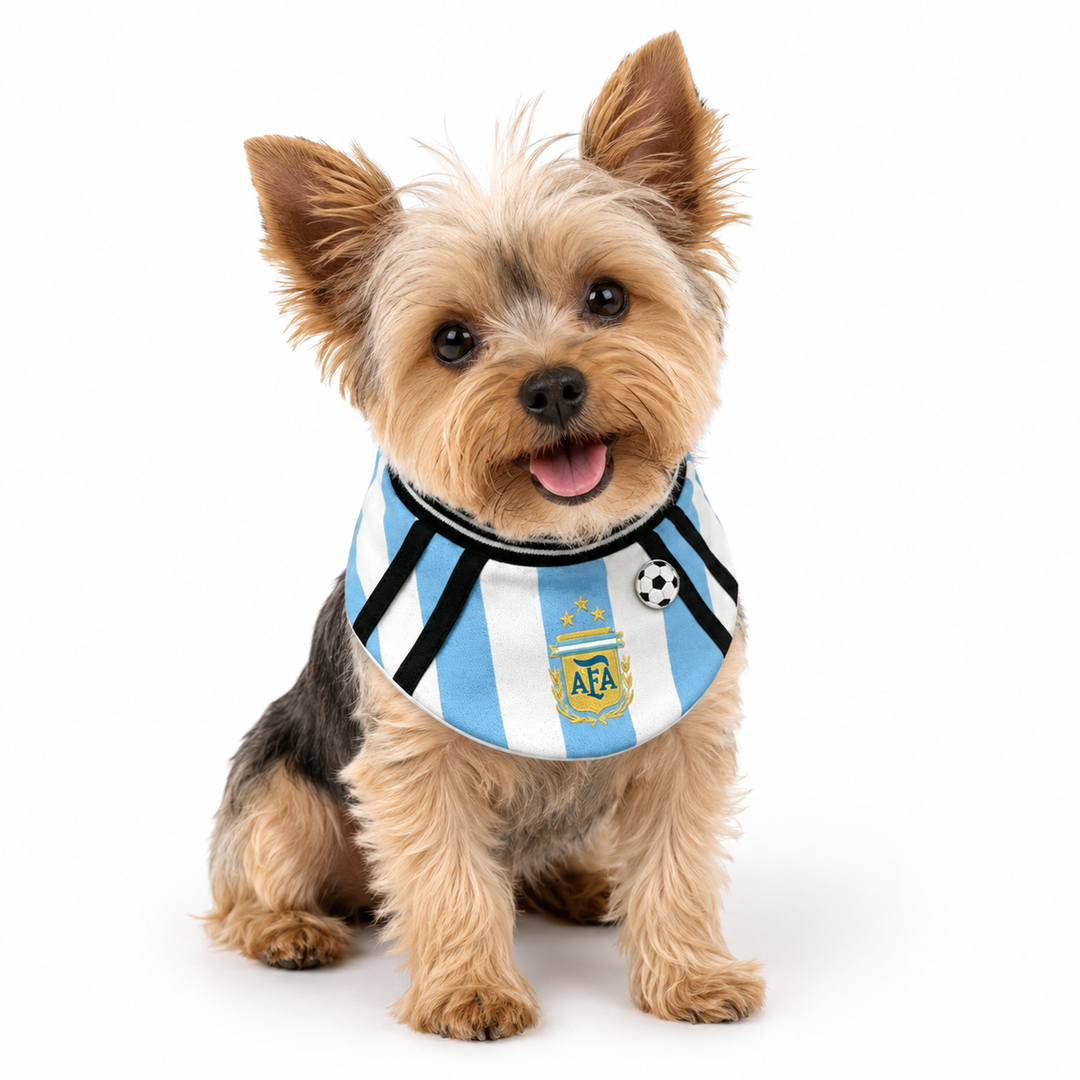 Argentina Football Pet Bib
