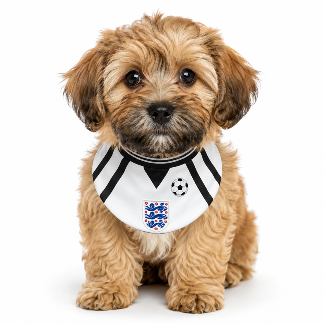 England Football Pet Bib