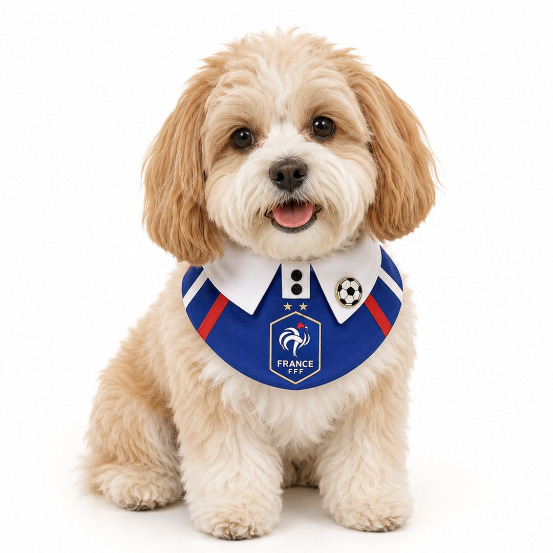 France Football Pet Bib
