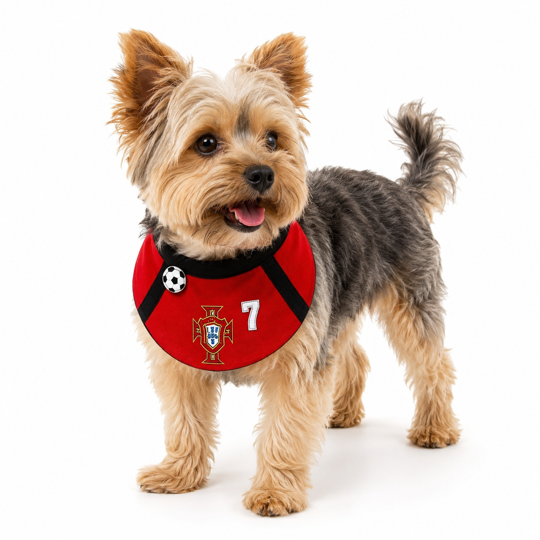 Portugal Football Pet Bib
