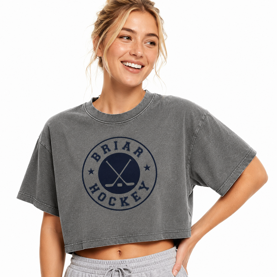 Briar Hockey Vintage Cropped T-Shirt – Grey