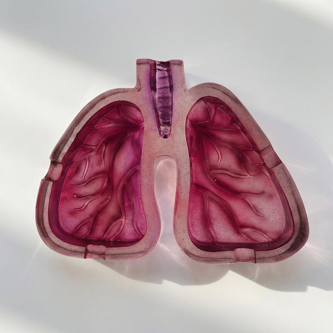 Anatomical "Deep Breath" Lungs Statement Ashtray – kawaii fan merch collectible handmade gift Lizzie & Friends