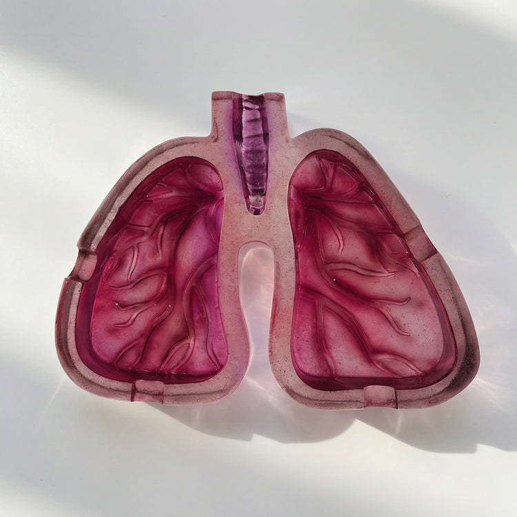 Anatomical "Deep Breath" Lungs Statement Ashtray – kawaii fan merch collectible handmade gift Lizzie & Friends